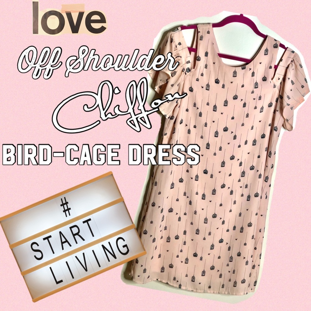 Chiffon Pink birdcage dress size 10